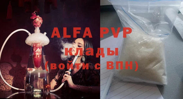 СК Алексин