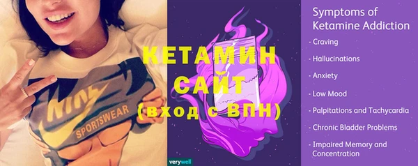 СК Алексин