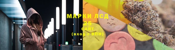 СК Алексин