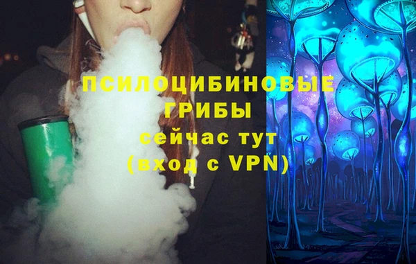 тгк Алексеевка