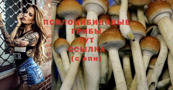 тгк Алексеевка