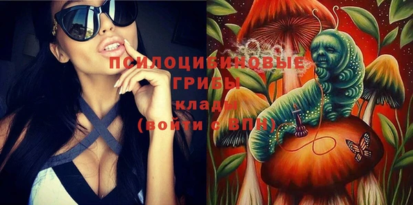 СК Алексин