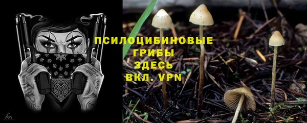 тгк Алексеевка