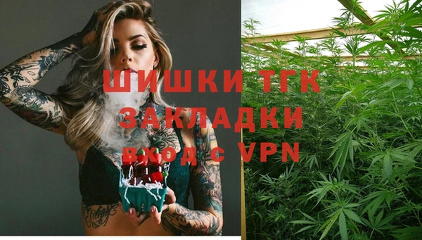 СК Алексин