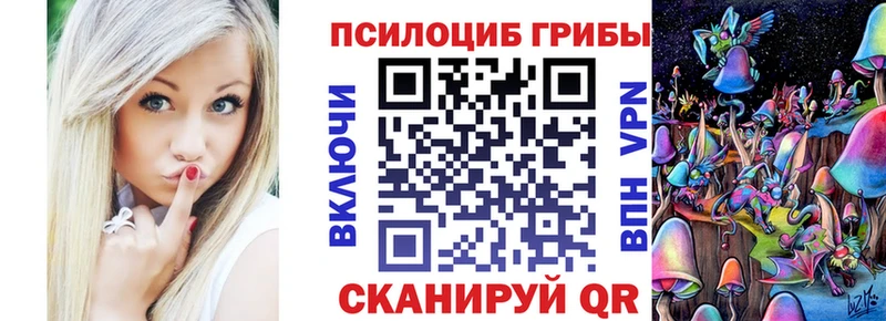 как найти закладки  Самара  Псилоцибиновые грибы Cubensis 